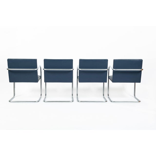 Early 21st Century Mid Century Modern Blue Leather Brno Arm Chairs by Mies Van Der Rohe for Knoll, Set of 4 For Sale - Image 5 of 16