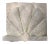 Carved Limestone Scallop Form Building Ornament For Sale