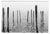 Unique print "Laggoon 1983-1995" taken in Venice in Winter of 1983. Printed in 1995 as a gelatin silver print. Image size...