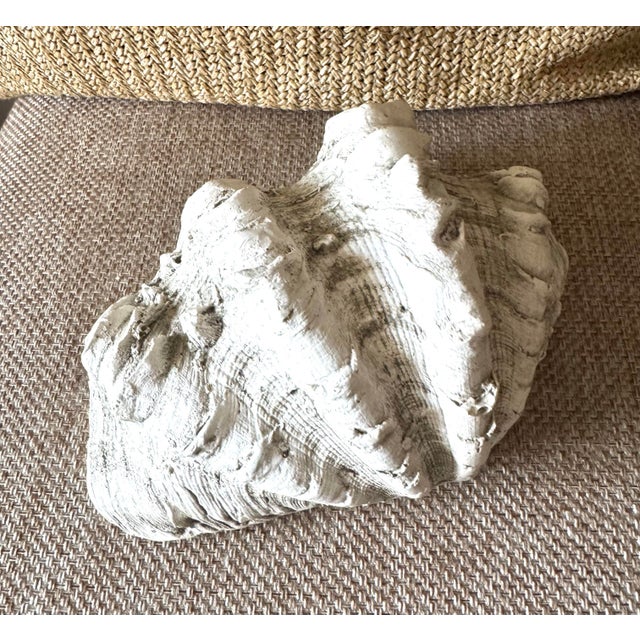 Contemporary Vintage Realistic Ceramic Clam Shell Bowl – Sculptural Coastal Decor Dish For Sale - Image 3 of 10