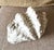 Contemporary Vintage Realistic Ceramic Clam Shell Bowl – Sculptural Coastal Decor Dish For Sale - Image 3 of 10