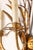 Coco Chanel Pair of 20th Century French Gilt Metal Sconces - Inspired By Coco Chanel For Sale - Image 4 of 6