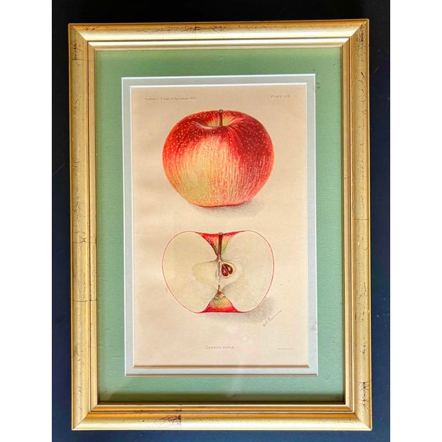 American Apple Bookplates (1905), Set of Three For Sale - Image 4 of 7