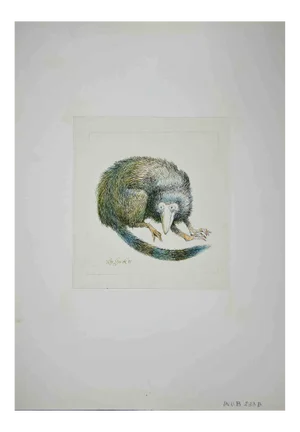 Leo Guide, Lemur, Drawing, 1971