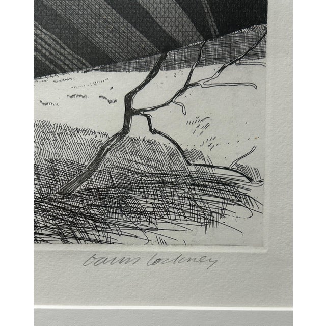 David Hockney 1969 David Hockney “A Wooded Landscape” Framed Etching, Edition 53/100 With Certificate of Authenticity For Sale - Image 4 of 11