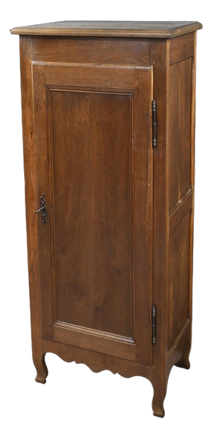 19th Century Standing Regional Cabinet in Oak