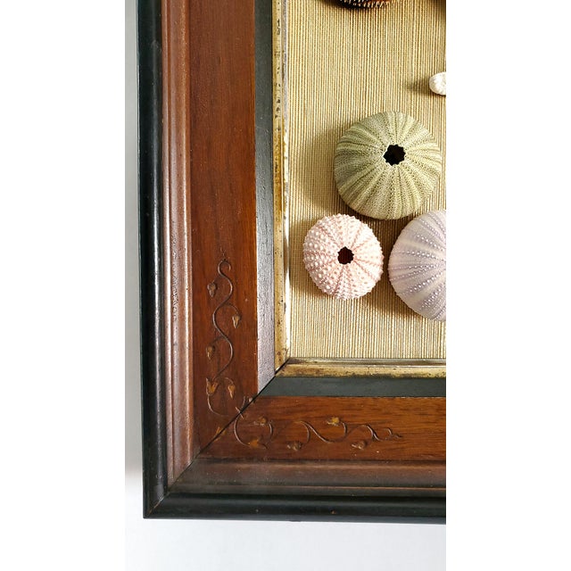 Tan Box Pair Coastal For Sale - Image 8 of 14