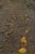 18th Century French Cast Iron Fireback Bas Relief For Sale - Image 4 of 8