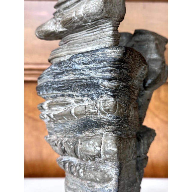 Chinese Scholar Stone Wuling Rock on Stand For Sale - Image 9 of 14