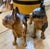 Folk Art 1920s Cast Ion Hubbly Boston Terriers Door Stops -Pair For Sale - Image 3 of 8