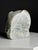 Hand Carved Head of Monkey, 20th Century, Stone For Sale - Image 9 of 18