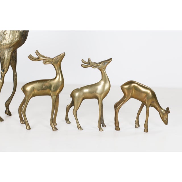 Mid-Century Brass Deer Family, Set of 4 | Large Stag and Fawns For Sale - Image 11 of 15