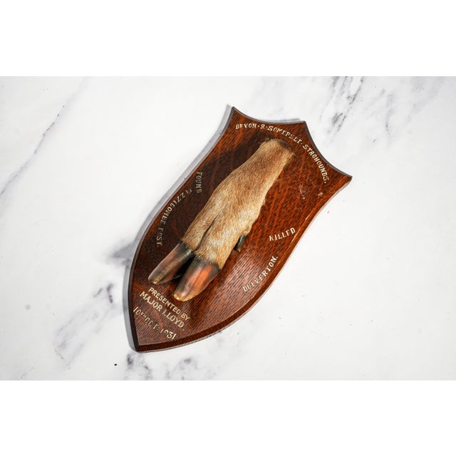 A wonderfully evocative antique hunting trophy featuring a genuine mounted deer hoof displayed on a beautifully shaped...
