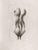 Etching realized by Giacomo Porzano in 1972. Hand signed and numbered in pencil. Edition of 100 in arab numbers and 20 in...