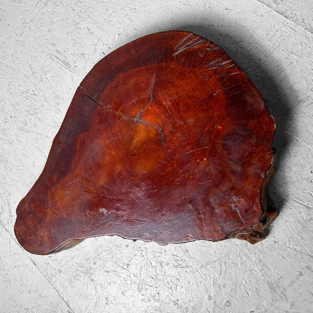 Wood Yakusugi Wood Display, Japan, 1950s For Sale - Image 7 of 14