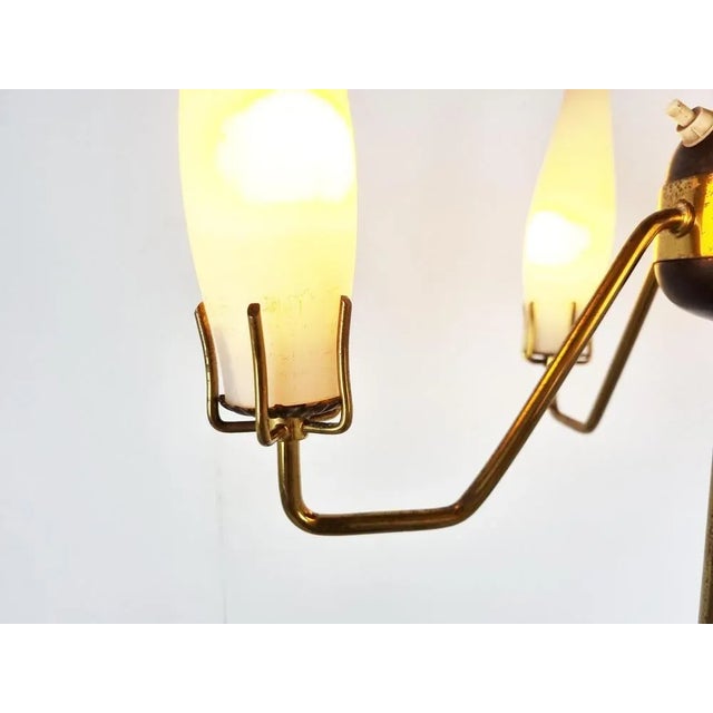 Mid-Century Floor Lamp by Stilux Milano, 1950s For Sale - Image 6 of 10