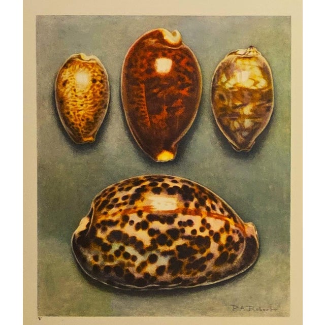 This is a set of 3 French lithographs that date to 1935. They are colored book plates of watercolors done by Paul A...