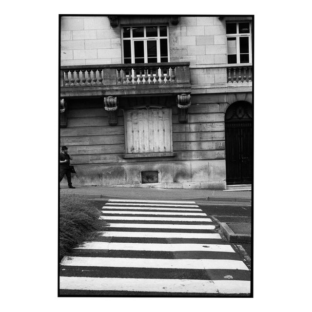 Paul Cooklin, Zebra Crossing, Edition of 50 For Sale