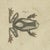 Beige Bertuch, Four Tree Frogs Including a Blue Frog, 1815, Print For Sale - Image 8 of 12