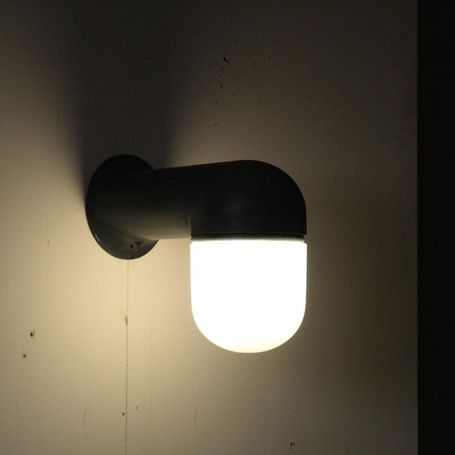 Metal Catalina Wall Lamp by Sergio Mazza for Artemide For Sale - Image 7 of 18