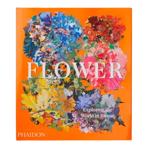 Flower Exploring the World in Bloom