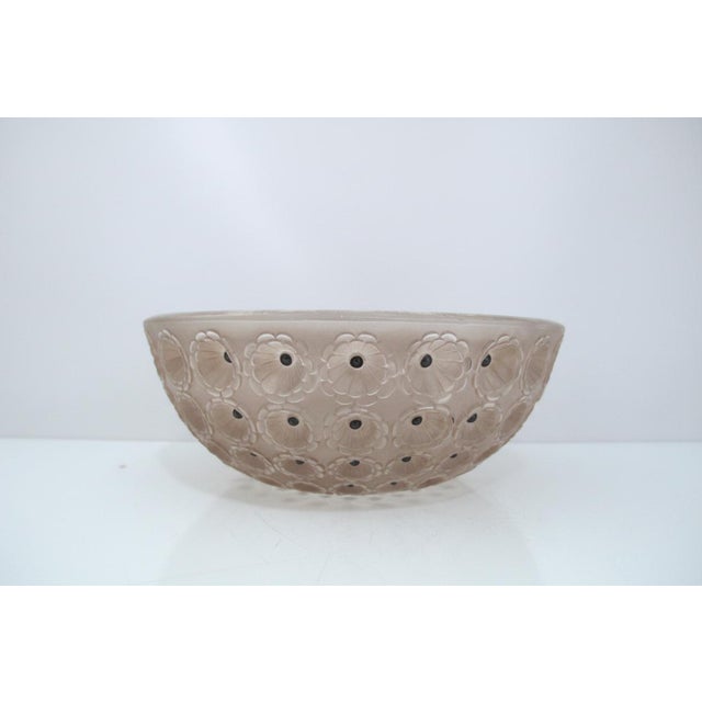 Art Deco Rene Lalique France Sepia Nemours Poppy Flower Art Deco Glass 10" Bowl For Sale - Image 3 of 14