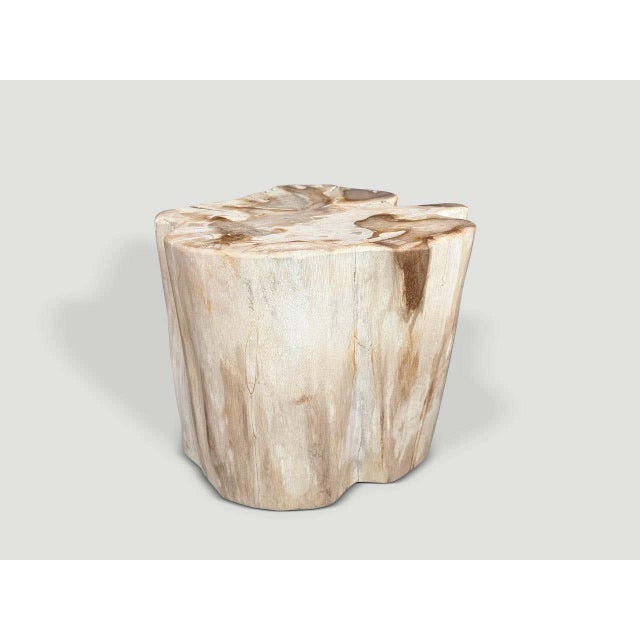 "Beautiful rare tones and shape on this high quality petrified wood side table. It’s fascinating how Mother Nature...