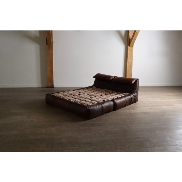 Le Bambole Bed in Buffalo Leather by Mario Bellini for B&B Italia, 1970s For Sale - Image 14 of 14