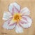 Hemerocallis III by Sybiline | Oil on panel Flower with white and purple petals For Sale