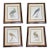 Set of 4 Vintage Continental Style Framed Natural History Prints For Sale