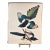 1964 Audubon Folio Lithograph Great Bird Paintings – “American Magpie” 17x14 For Sale