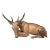 Mid 20th Century Carved African Antelope For Sale