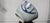 Ceramic Rare 17th Century Ming Dynasty Wanli Period Swatow Blue and White Bowl 16.5cm For Sale - Image 7 of 10
