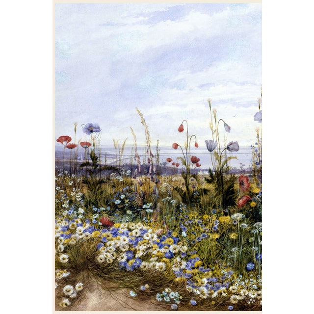 Not Yet Made - Made To Order 1830s Vintage Wildflower Coastal Landscape Art Print by Andrew Nicholl - 18" X 12" For Sale - Image 5 of 7