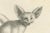 Foxes and Fennec Fox and Senegal Jackal in the Wild, 1836, Lithograph For Sale - Image 6 of 10