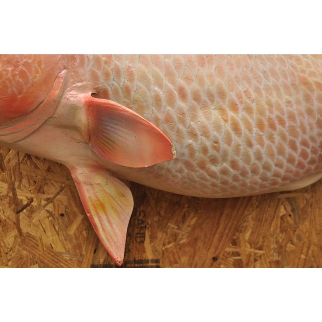 Late 20th Century Vintage Large Red Drum Full Wall Mount Taxidermy Redfish Fish Replica For Sale - Image 5 of 12