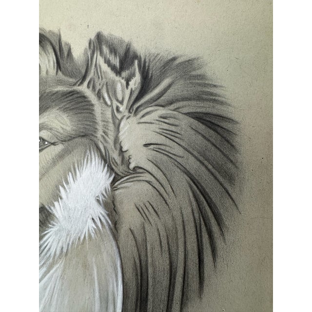 Illustration 1940s Original Signed Graphite Illustration of Collie, 11.5 × 9.25 In. For Sale - Image 3 of 6