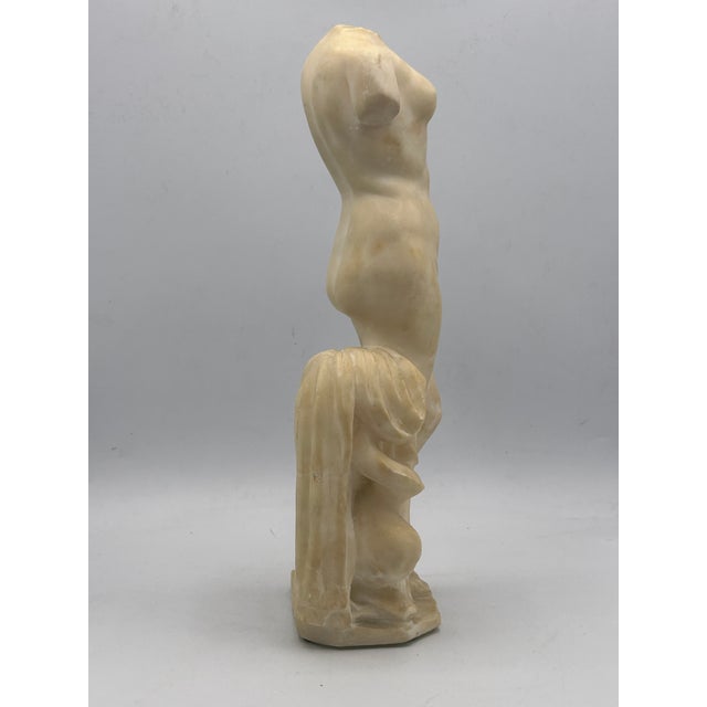 Early 20th Century Early 20th-Century Grand Tour Italian Carved White Marble Statuette After the Venus of Cyrene For Sale - Image 5 of 18