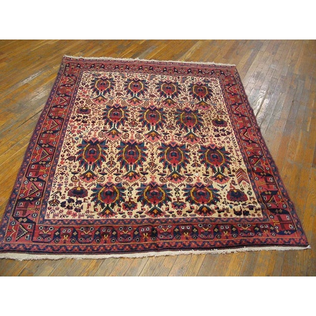 Late 19th Century S.E. Persian Afshar Carpet ( 5'2" x 6'7" - 157 x 201 )