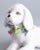 Vintage Italian White Majolica Dog Figurine With Flower Wreath For Sale In Houston - Image 6 of 9