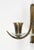 Mid-Century Sconces in Brass and Glass in the style of Gio Ponti, Italy, 1950s For Sale - Image 14 of 17
