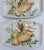Yellow Vintage Mancioli Italian Hand-Painted Onion Divided Serving Platter Plates | Made in Italy, Set of 6 For Sale - Image 8 of 10