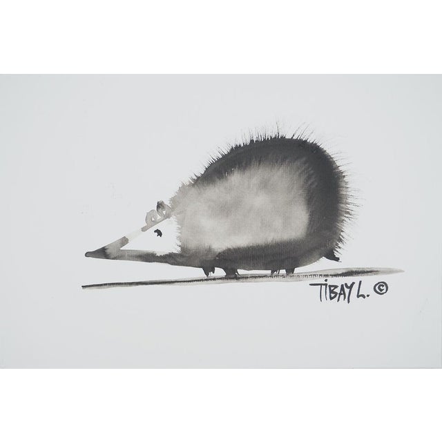 Laszlo Tibay, L'hérisson, Ink & Wash Drawing For Sale - Image 6 of 6