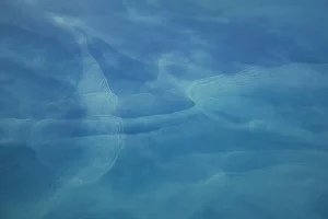 "Patagonia Sea" Photograph