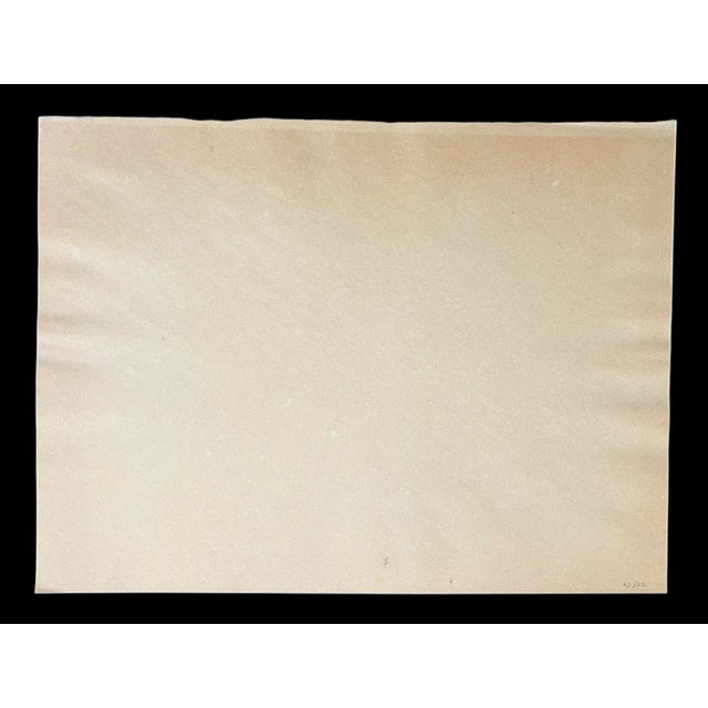 Georges Schreiber Signed Limited Edition Without a Net Lithograph Print For Sale In Portland, OR - Image 6 of 6