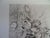 Modern Mily Possoz, Le bouquet de tulipes, Etching For Sale - Image 3 of 7
