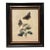 Vintage Red Admiral Butterfly & Botanical Print in Black and Gold Wood Frame For Sale