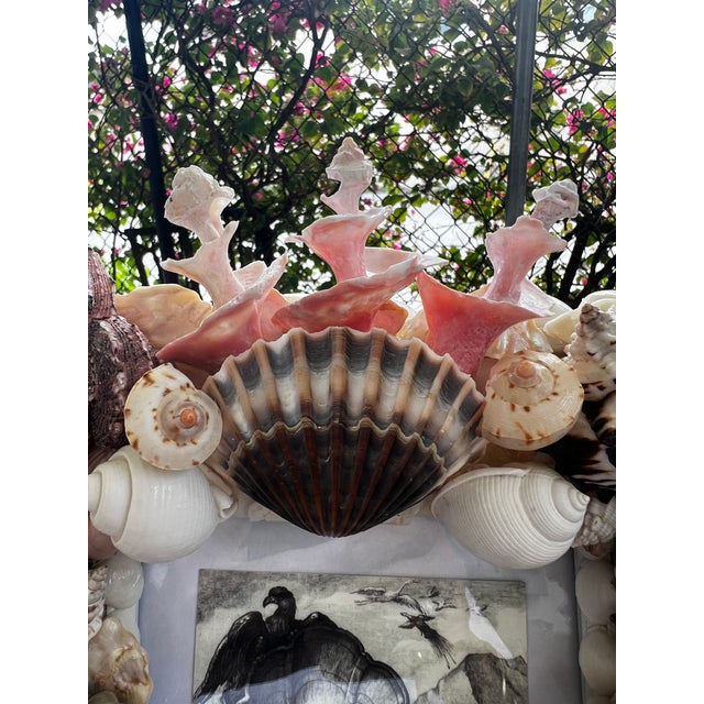 2020s CSS Seashell Photo Frame For Sale - Image 5 of 8