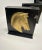 Black A Pair of Classic Roman Black & Gold Cast Metalware Bookends For Sale - Image 8 of 12