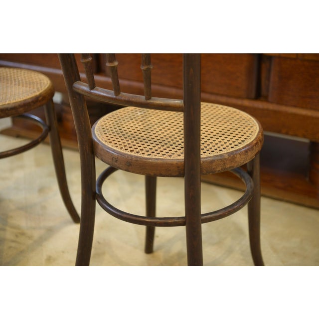 Bentwood Bistro Chairs from Fischel, 1930s, Set of 2 For Sale - Image 6 of 7